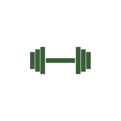 image of a green weight, symbolizing customized exercise programming